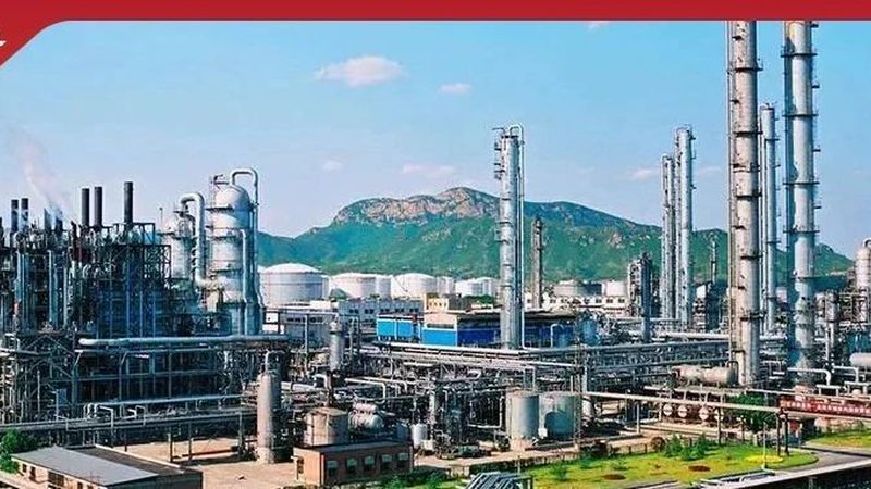医用高分子材料常见规格解析：性能与选择的奥秘